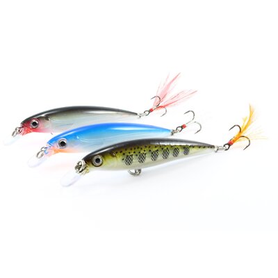 Rapala X-Rap 8 cm 10 cm Wobbler Kunstköder Angelköder Hecht Zander