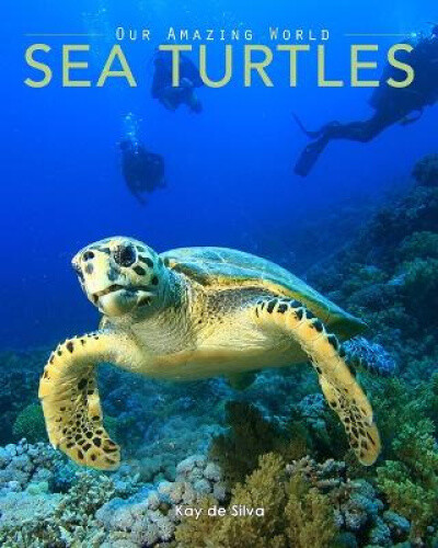 Thumbnail - Sea Turtles: Amazing Pictures & Fun Facts On Animals In Nature By De