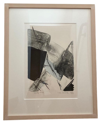 Toko Shinoda '' Shady Map '' Lithograph Print Autograph Size H 21.5 x W 17.2 in
