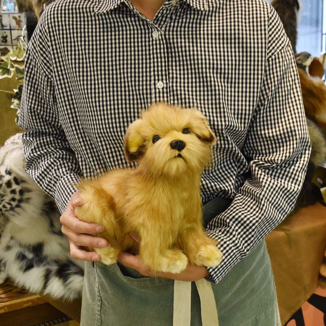Hansa Terrier Puppy Plush Norfolk Terrier Dog Doll Stuffed Toy 23cm W Tracking Ebay