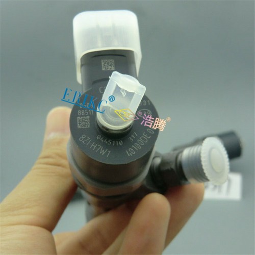 0445110317 Diesel Engine Injection 0 445 110 317 Oil Nozzle Injector 0445110 317 - Foto 8 di 12