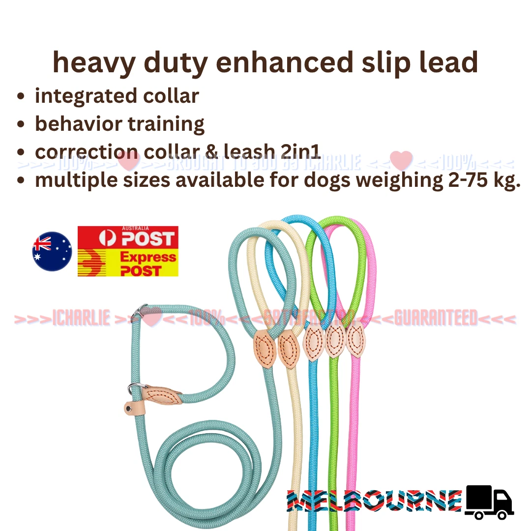 Nylon Dog Leash Heavy Duty Lead Slip Lead Training Correction 1.8m 8-16mm 2-75kg