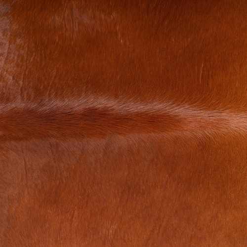 Brazilian Brown Cowhide Rug Size 8' L x 7'3" W 7244 - Picture 3 of 6