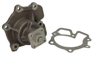 THERMOTEC Wasserpumpe D1G026TT für FORD TRANSIT, TRANSIT TOURNEO 10.83-12.00