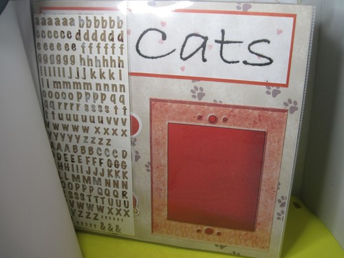 MEINE KATZE Sammelalbum Album mit 20 12" x 12" Akzentseiten von ALCO - Bild 12 von 16
