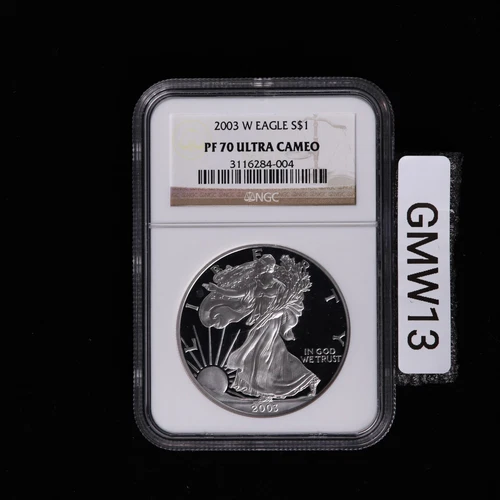 2003 W PROOF SILVER EAGLE NGC PF70 ULTRA CAMEO CLASSIC BROWN LABEL