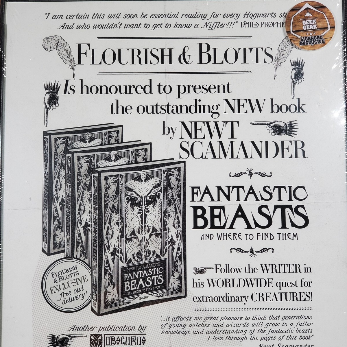 Harry Potter Flourish & Blotts Thin Framed Print - a Geek Gear