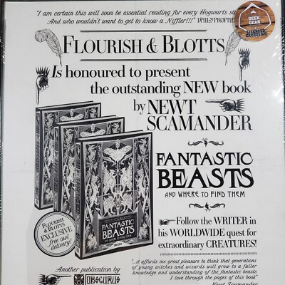 Harry Potter Flourish & Blotts Thin Framed Print - a Geek Gear