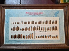 Hornady Bullets Bullet Board Display