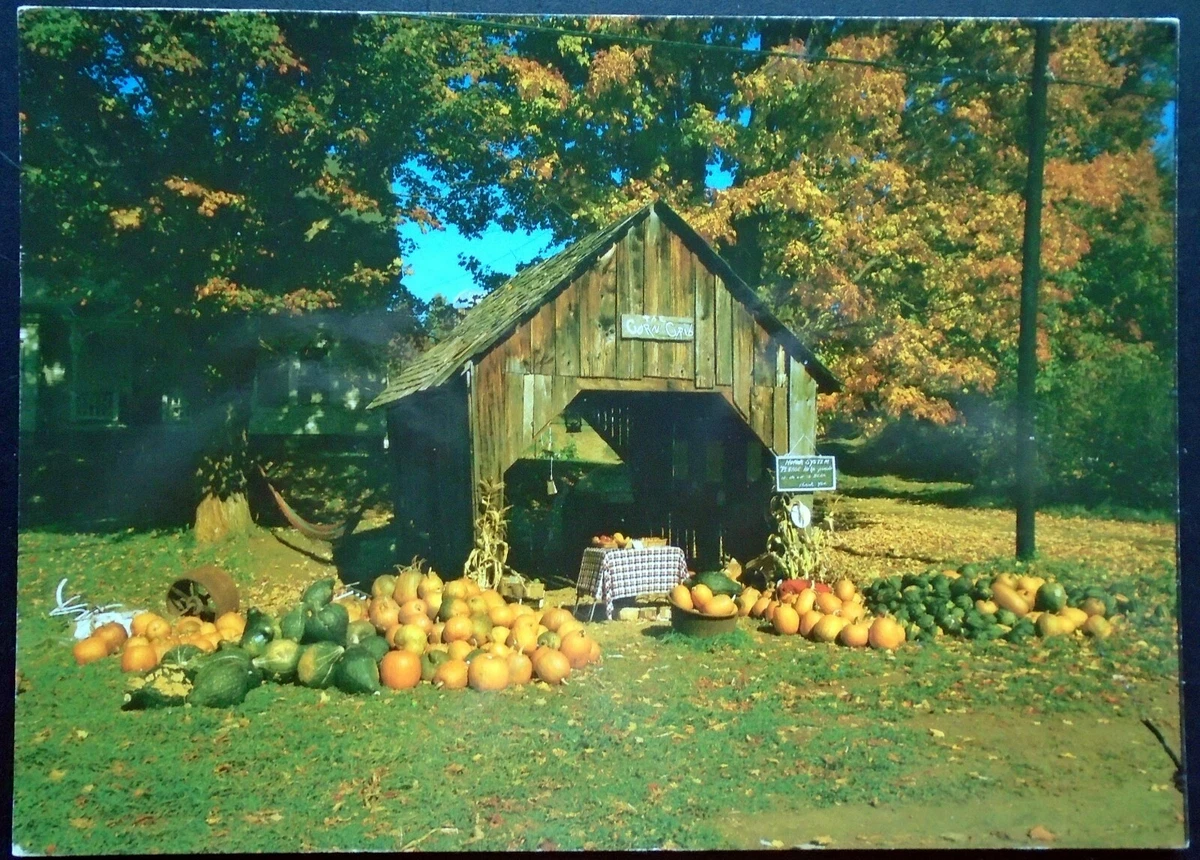 Corn crib for sale near me cheap