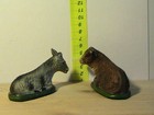 Foto 11 di 12