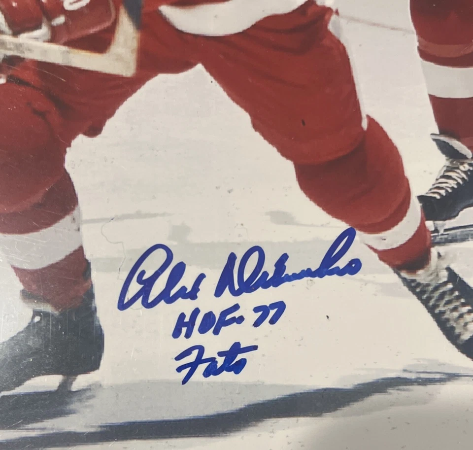 亚历克斯·德尔韦奇奥签名 8 x 10 照片多张铭文名人堂 77 英寸脂肪红翼 — 第 2/3 张图片