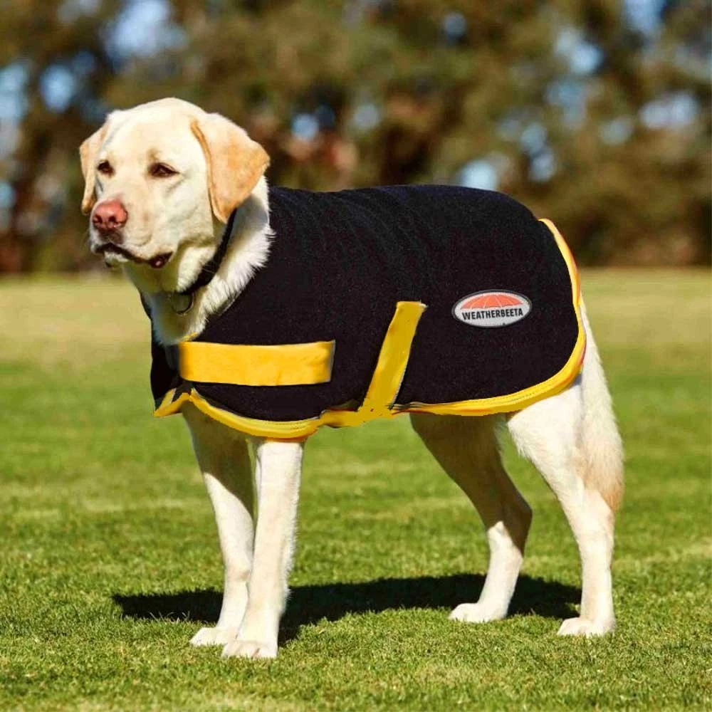 Labrador Retriever Fleece Dog Coats/Jackets for sale | eBay