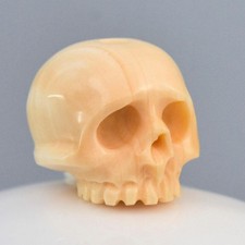 Humain Tête de Mort Perle 11.00mm Abricot Coque Sculpture Main Verticalement