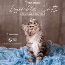 Rachael Hale + Nhs - Lovable Cats 2026 Wall Calendar by Turner Licensing