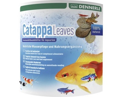 Seemandelbaumblätter Dennerle Catappa Leaves