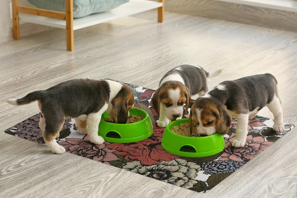 Hunde Katzen Napfunterlage Fressnapf Matte für Schüssel Blumen im Herbst - Bild 4 von 4