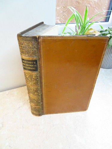 1831 ORNITHOLOGICAL DICTIONARY - BRITISH BIRDS MONTAGU RENNIE oology ornithology - Picture 3 of 12