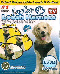 lucky leash