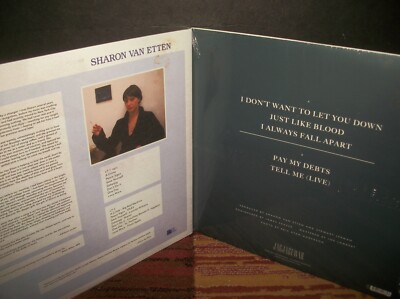 Lot: 2 SHARON VAN ETTEN LPs - epic Ten/I Don't Want to Let You