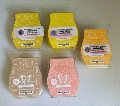 Scentsy Wax Bars 5 SCENTS TO CHOOSE FROM HTF & Retired Bars BBMB Melts Bar