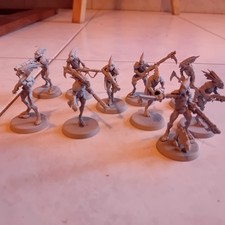 Warhammer 40k Tau Empire: Kroot Carnivore Squad