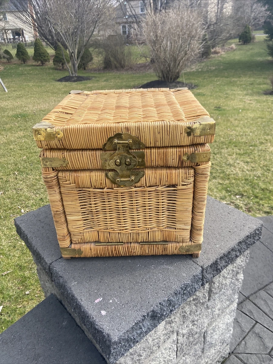 Wicker trunk 2024