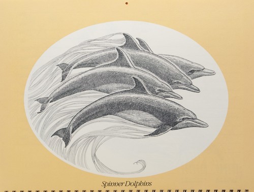 Gentle Giants of the Sea 1979 Whale Calendar, beautiful artwork, spiral bound - Picture 12 of 15
