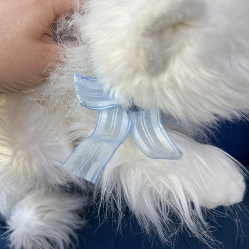 Ty Classic “Sugar” White Persian Cat Blue Bow Long Haired Soft Plush Toy 2002 - Picture 10 of 14
