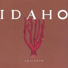 Levitate von Idaho | CD | Zustand gut