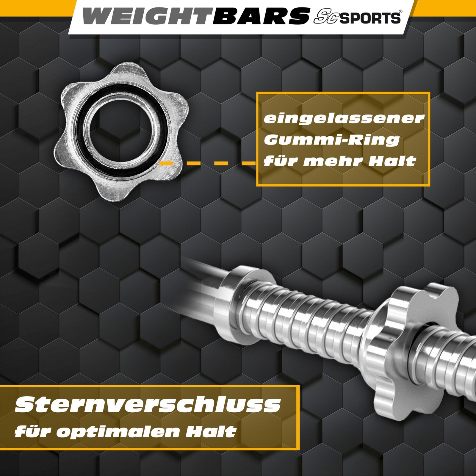 Bild 5 von 12