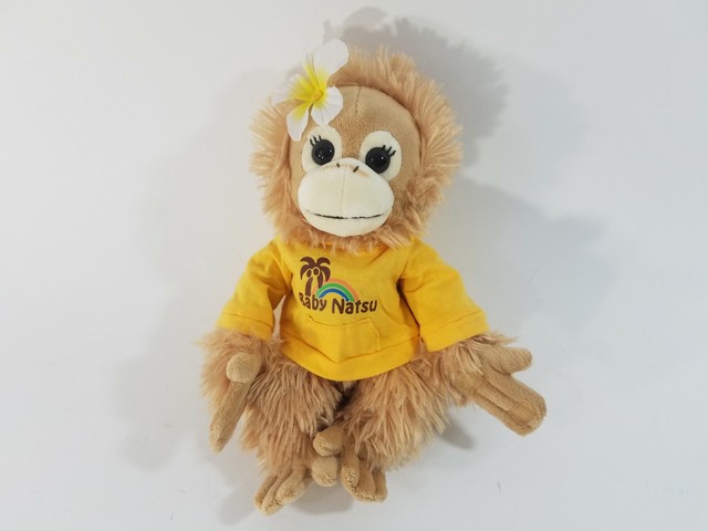 coco stuffed toy