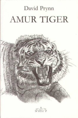 Amur Tiger By David Prynn, G. H. Harper