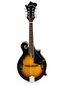 Aria Mandolin | eBay