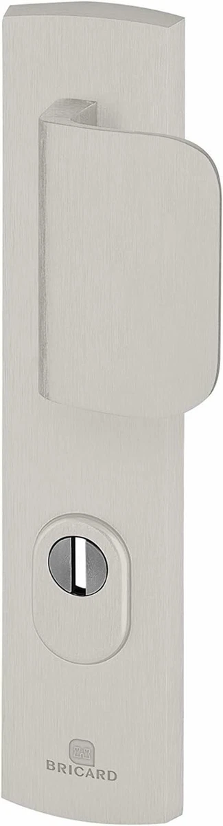 Bricard 9920071 Griffe Eingangstür - eMUST Griff + Spoiler 
