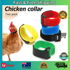 Anti Crow Collar for Roosters Cockerel poultry No Crow Noise Neck Belt Nylon AU