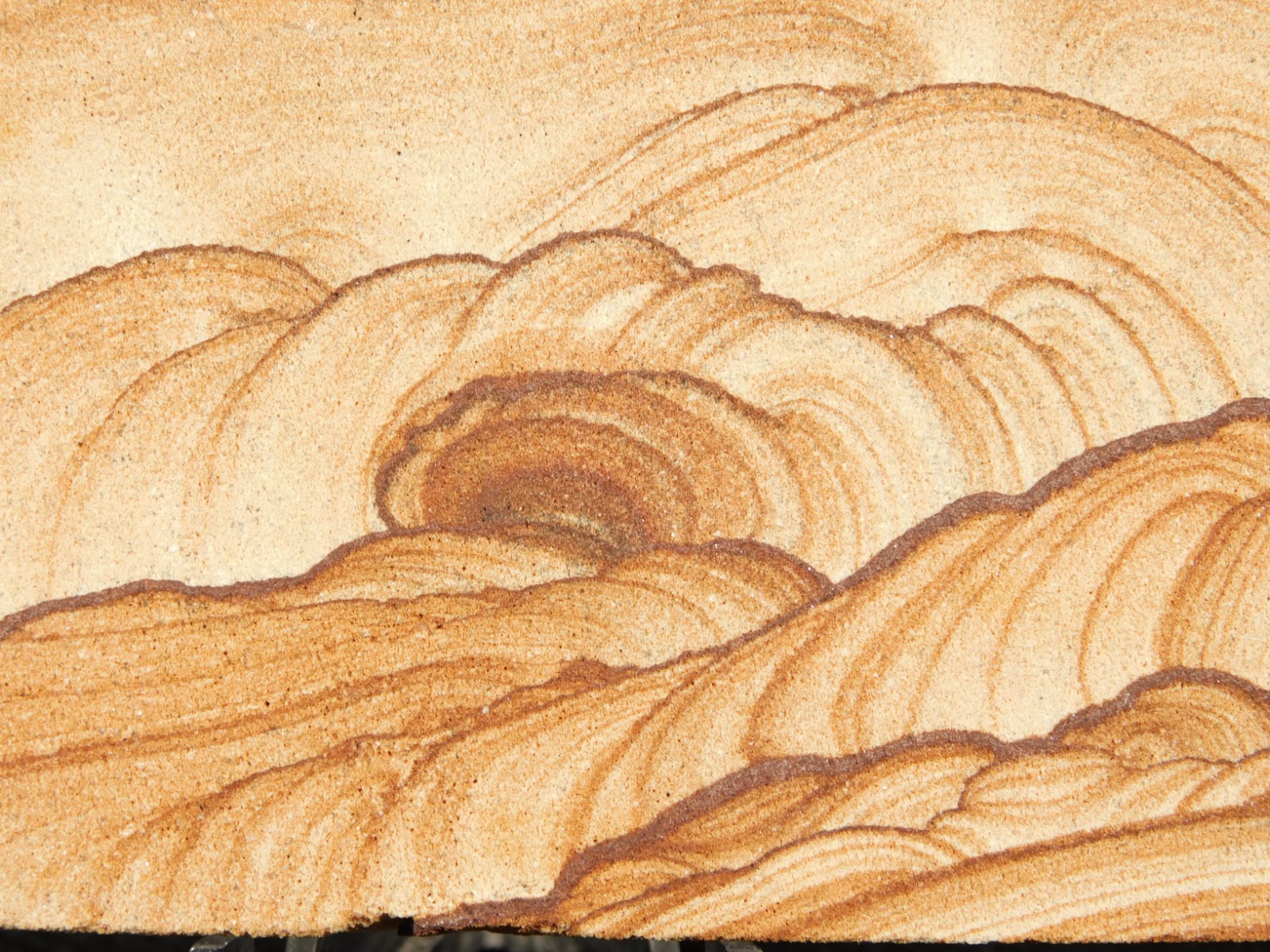 Nice! PICTURE Stone / SANDSTONE Slice or Slab with Display Stand Utah 152gr