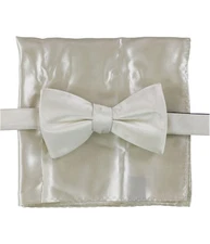 Alfani Mens Satin Neck Tie Set, ivory, One Size