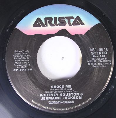 Pop 45 Whitney Houston - Shock Me / Didn'T We Almost Have It All On Arista Recor