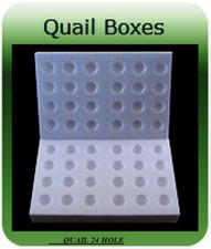 10 x 24 HOLE POLYSTYRENE EGG BOXES HATCHING/INCUBATION QUAILS 78MM THICK