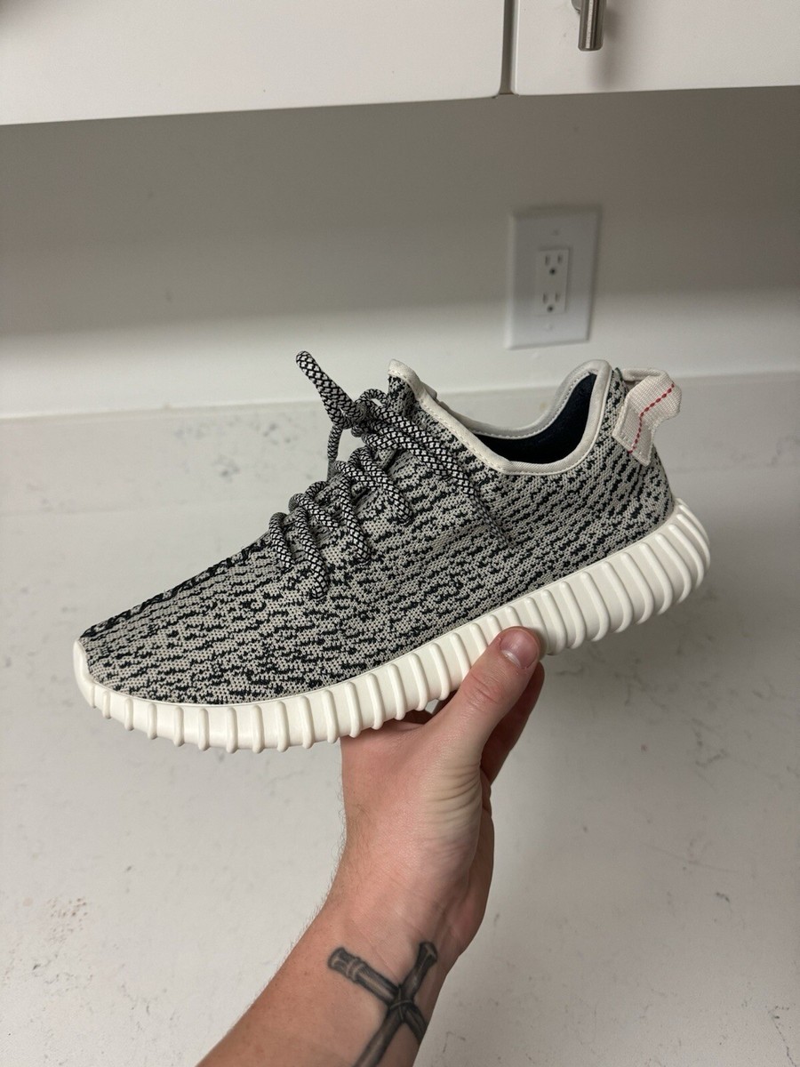 yeezy turtle dove size 9