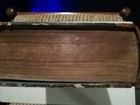 Bild 4 von 8