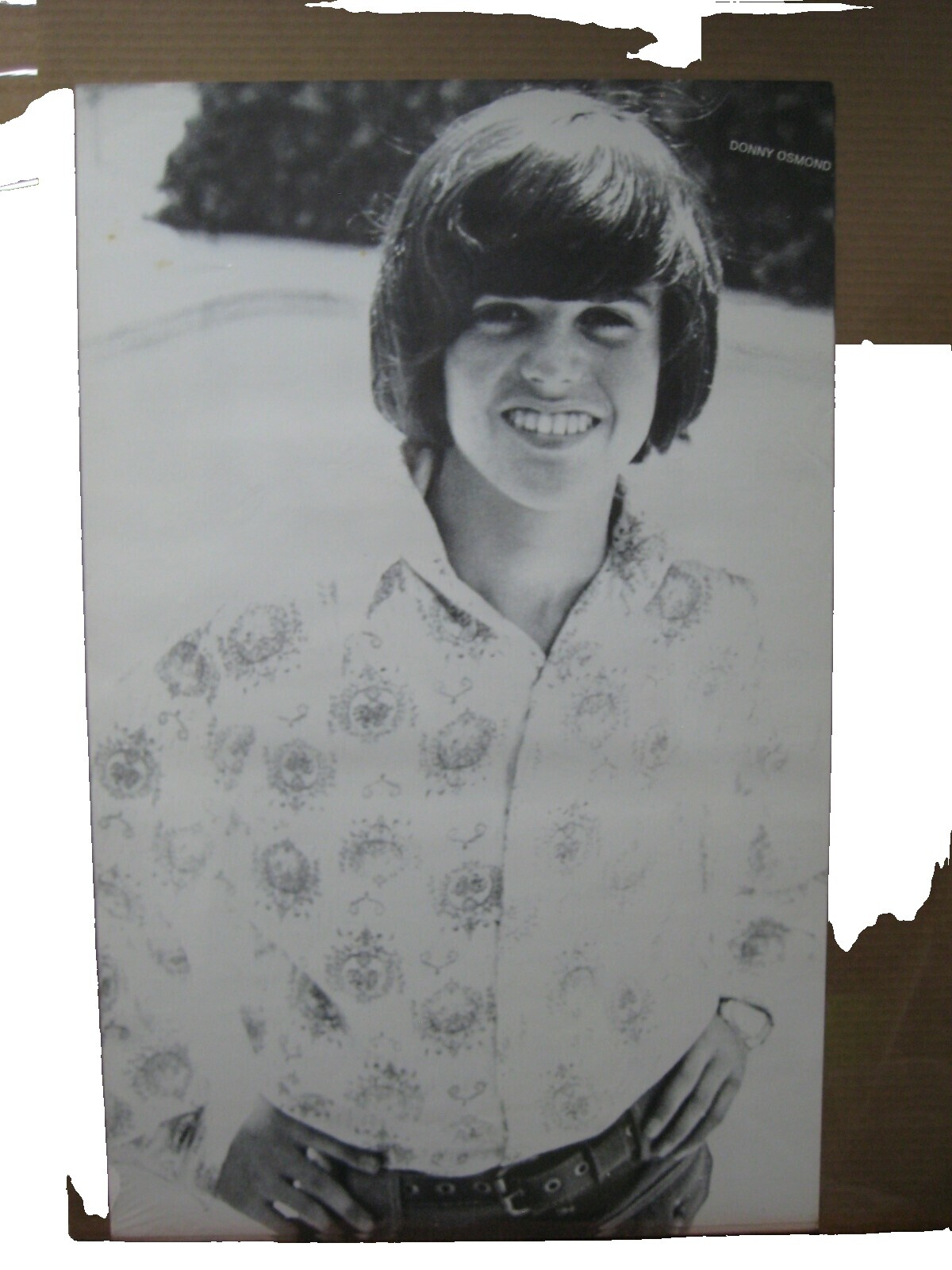 Donny Osmond Poster | eBay