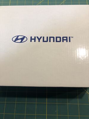 Hyundai Carry Case DC Tire Air Pump