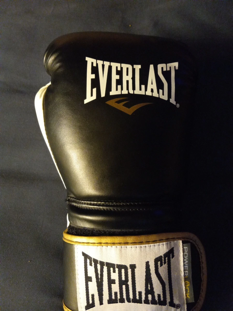 Everlast 16 oz. Weight Boxing Gloves for sale - eBay