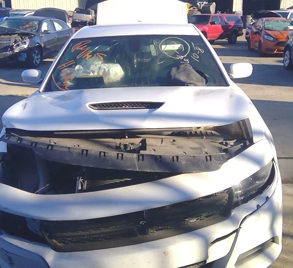 2017 Dodge Charger Rear Passenger Right RH Door Trim Panel in Black Foto 3 de 4