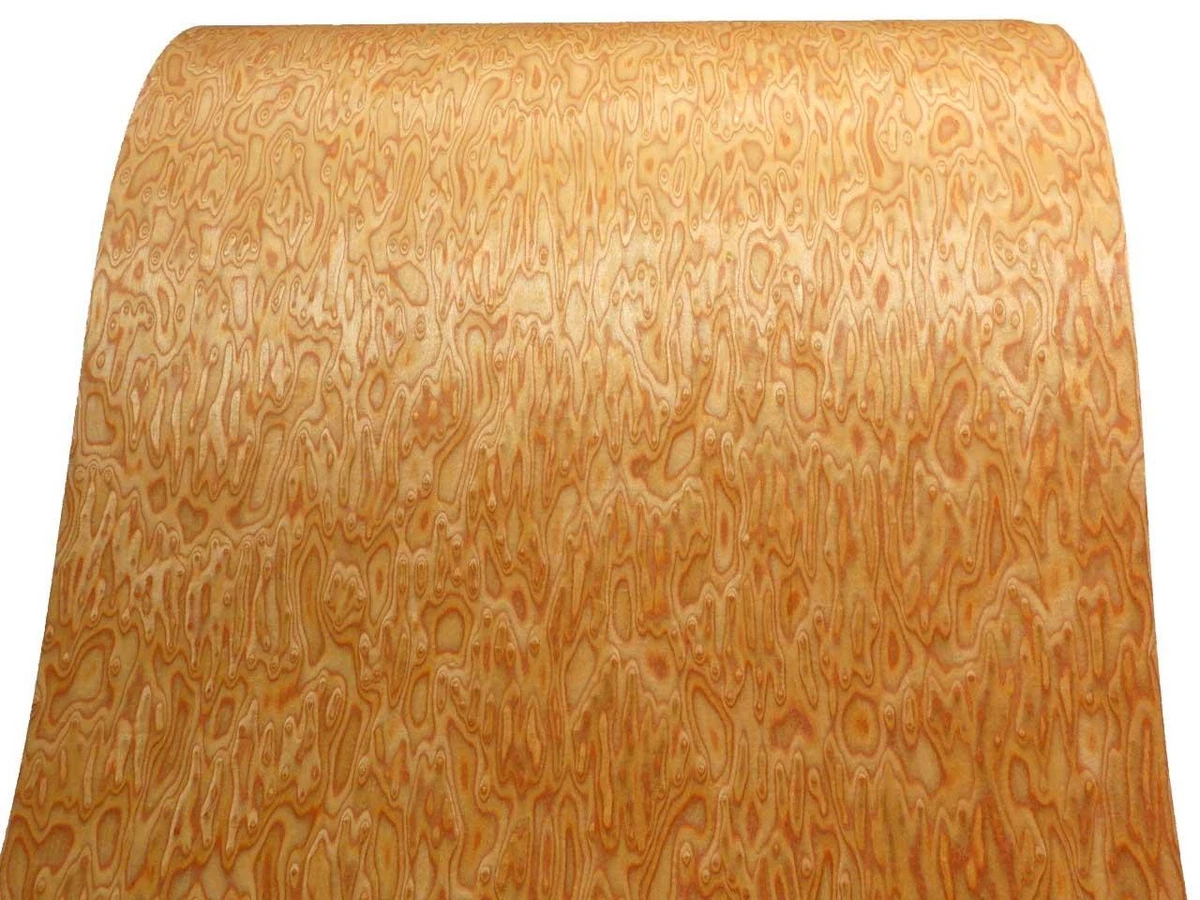 Chapa de cerezo Maser SaRaiFo de cerezo FINA 250x63-64 cm chapa translúcida