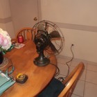 Bild 3 von 10