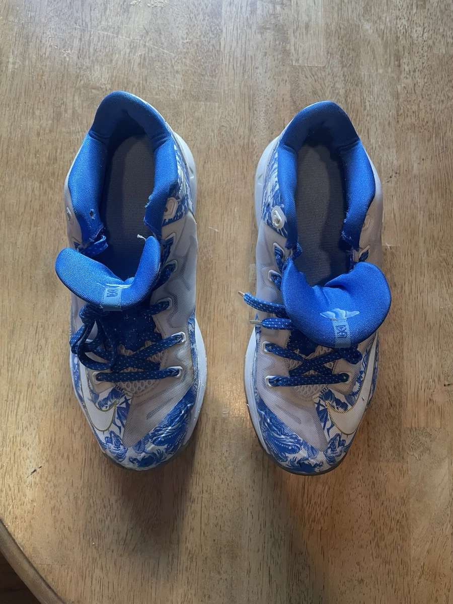 Nike Max LeBron 11 Ch Pack Low China for Sale | Authenticity