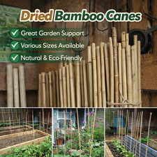 Havenura Bamboo Canes Garden Plant Support Sticks Heavy Duty Thick 2ft - 6ft